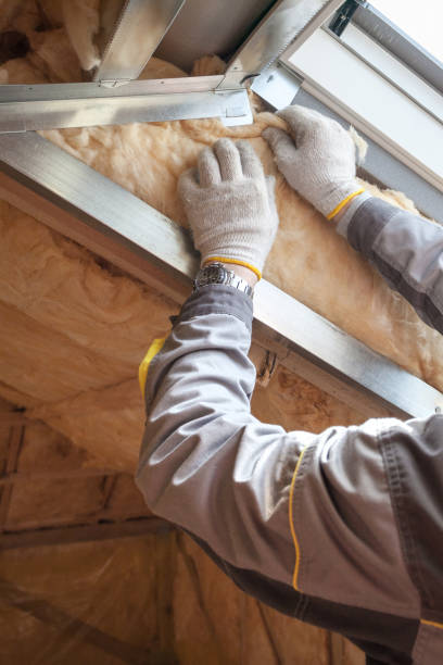 Best Cellulose Insulation in Campbellsport, WI